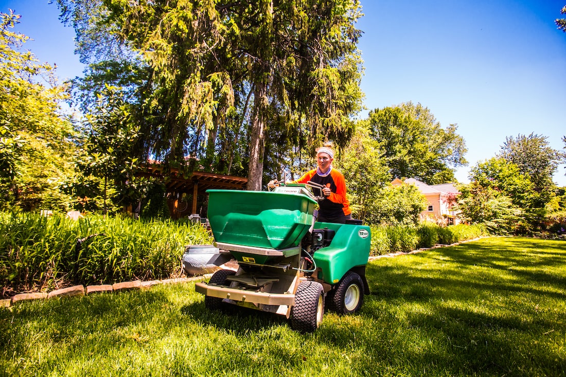 How Much Does Lawn Care Cost in Louisville KY